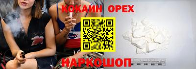 шишки Кандалакша