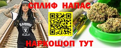 шишки Кандалакша