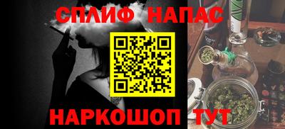 шишки Кандалакша