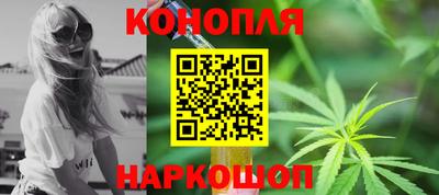 шишки Кандалакша