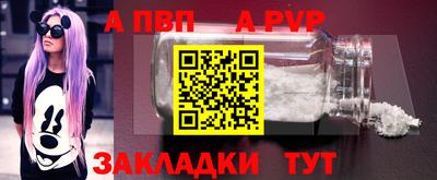 шишки Кандалакша