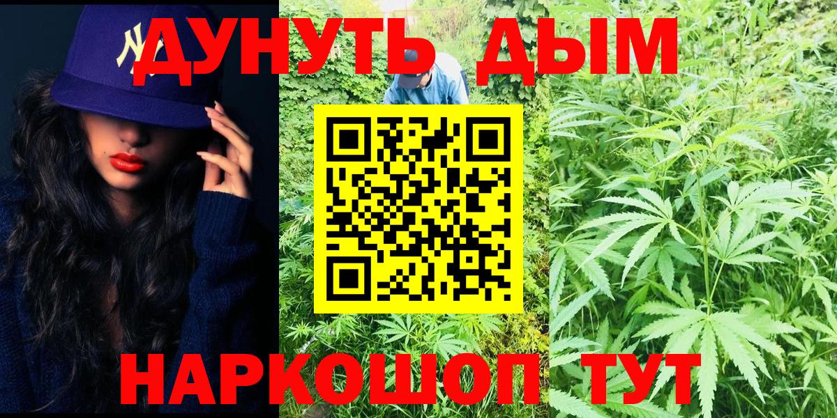 Канабис ГИДРОПОН  Бошки марихуана планчик  Вход с VPN  Кизляр 